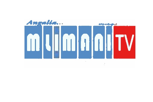 Mlimani Television